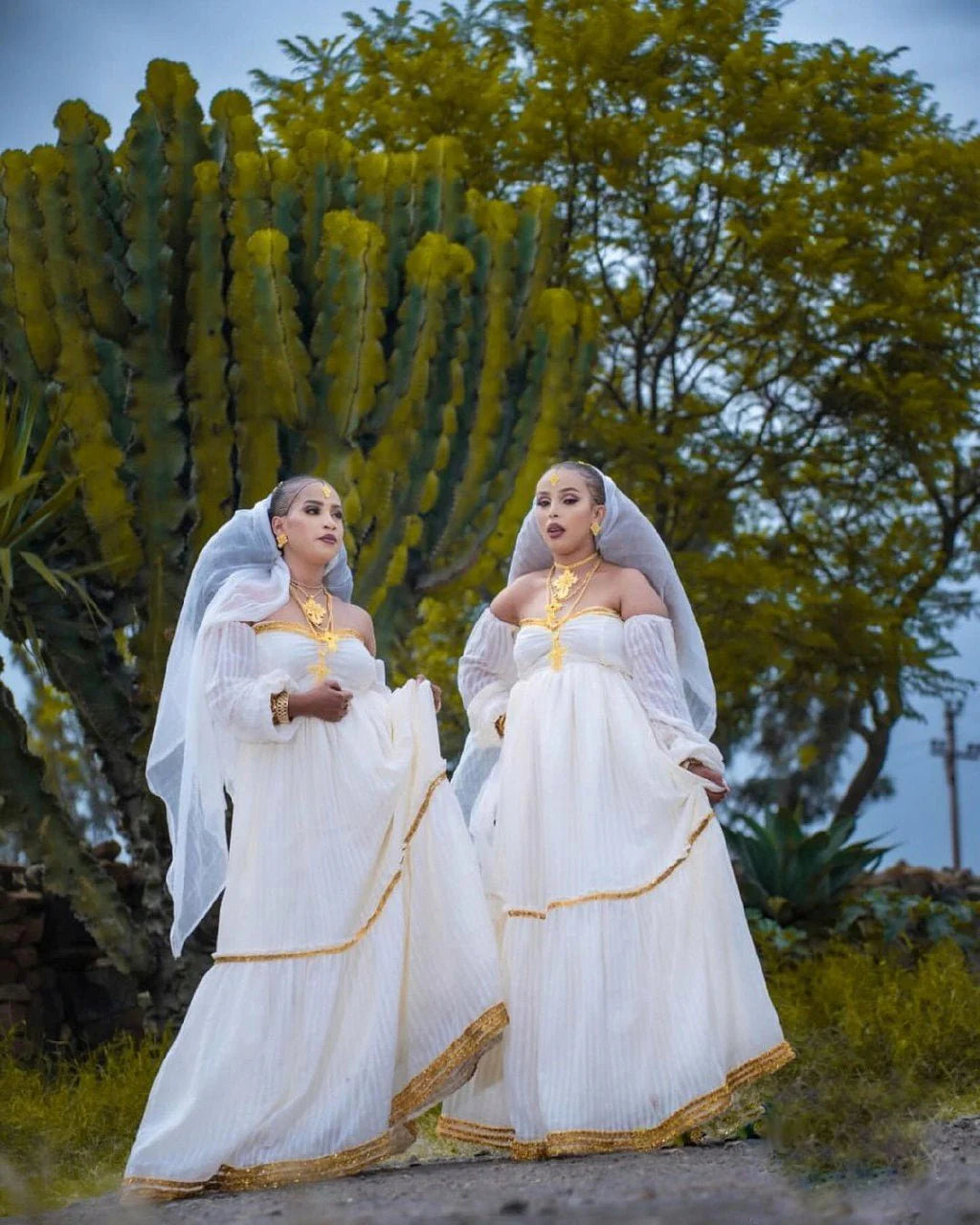 Gleaming Habesha dress Gold accents, modern style. Chic cultural design